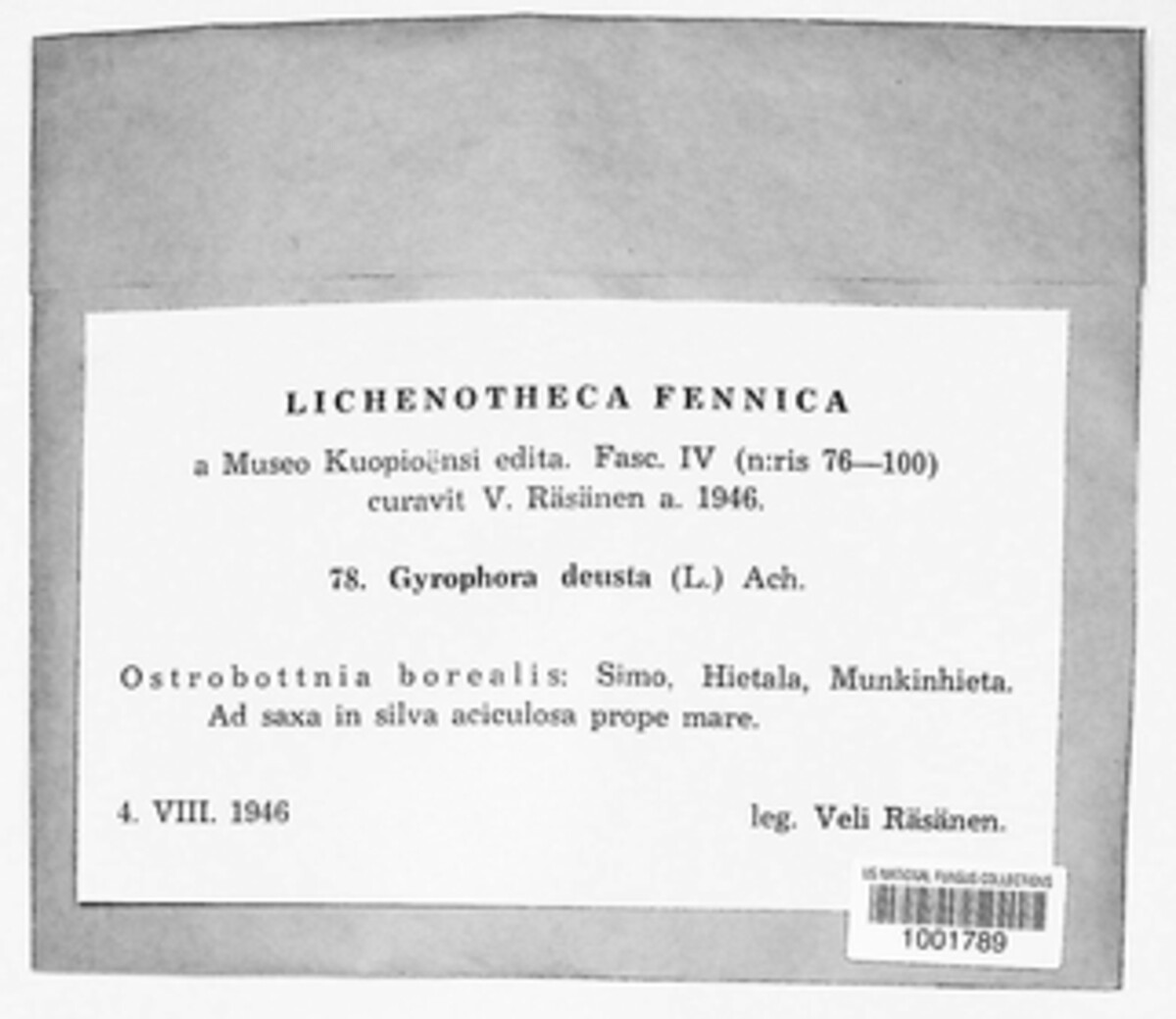 Umbilicaria deusta image